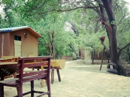 Dunhuang Moli International Hostel - Photo4
