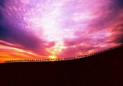 Jiuquan Dunhuang Happy Journey International Youth Hostel