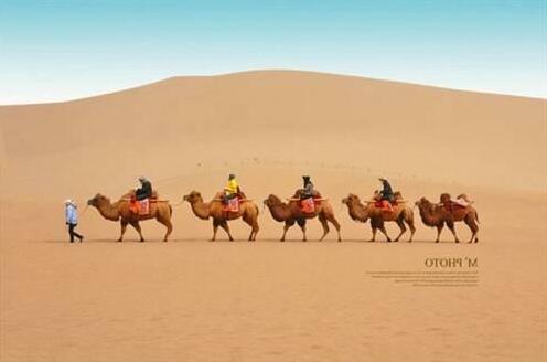 Nadada International Desert Camping - Photo5