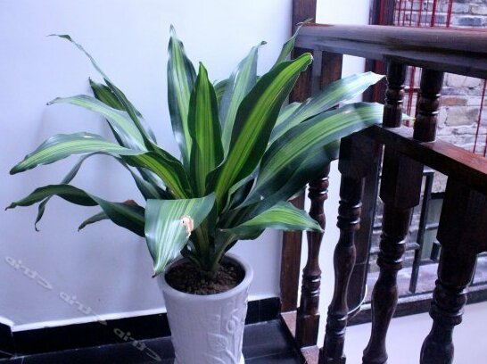 Banmu Yuntian Hostel - Photo5