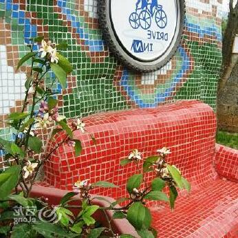 Bicycle Drive Inn - Photo2