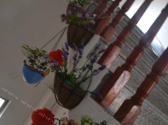 Flower's Home OF YangShuo - Photo3