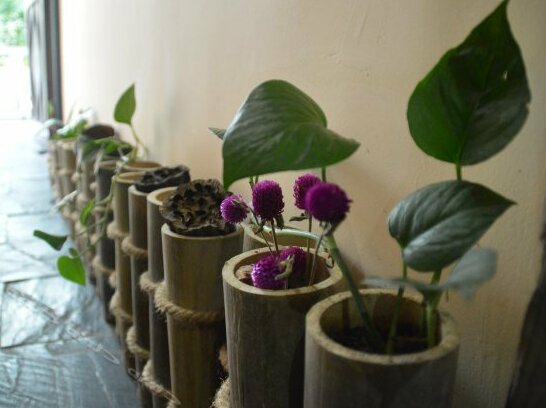 Guilin Lotus Hotel - Photo4