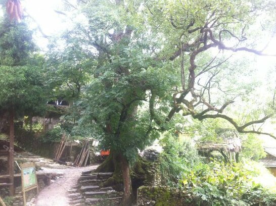 Guzhai Farmhouse - Photo2
