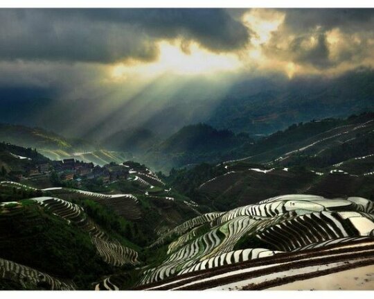 Nongtian Guest house - Photo2