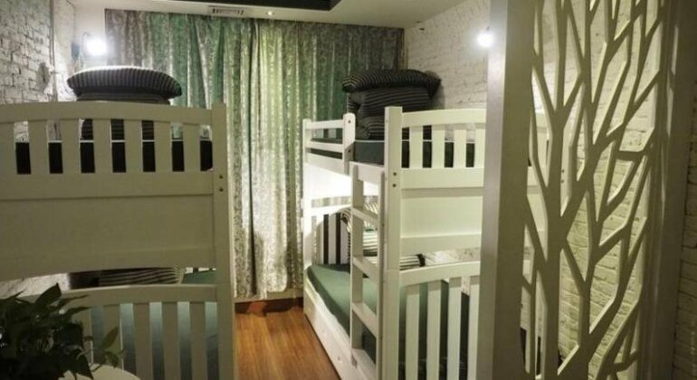 Scoozi hostel - Photo3