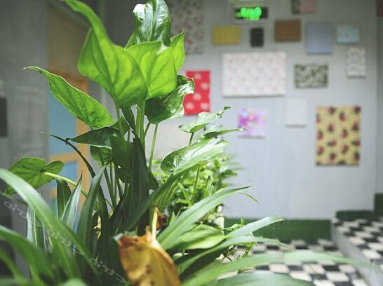 Time Guest House - Photo5