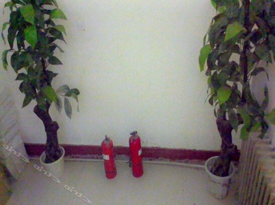 Daming Chuncheng Hotel - Photo2