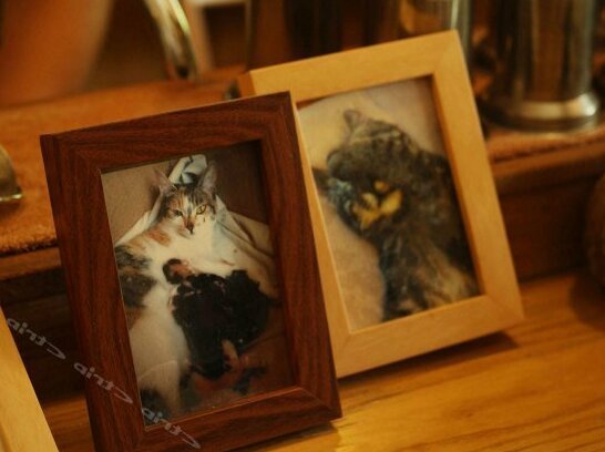 Aska Guesthouse - Photo3