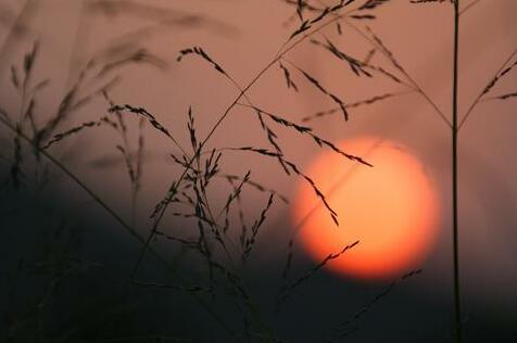 Fuchun Resort - Photo2