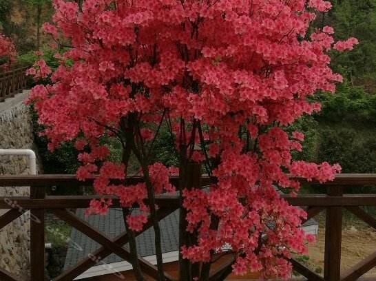 Yuhe Manor Lin'an - Photo5