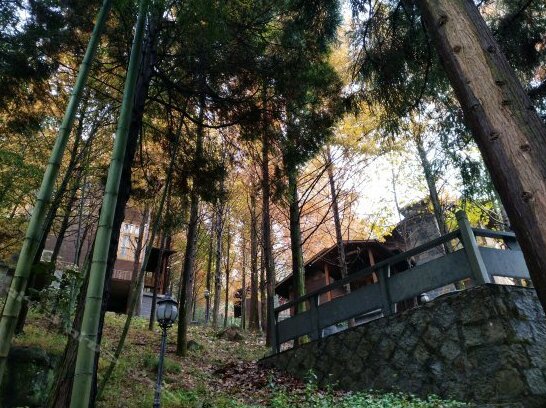 Yunbotianmu - Photo3