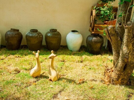 Yunlang Xiaolu - Photo3