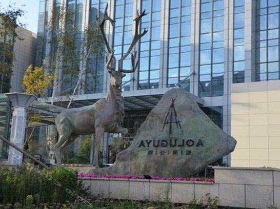 Aoluguya Hotel Harbin - Photo2