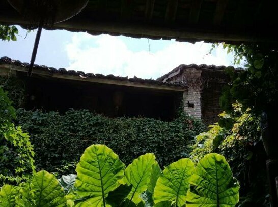 Shuxin Yizhan - Photo3