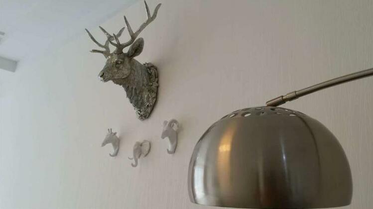 Biancheng Xiaozheng Homestay - Photo3