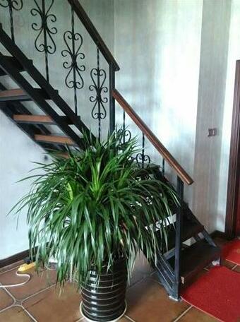 Old Cat Inn - Photo2