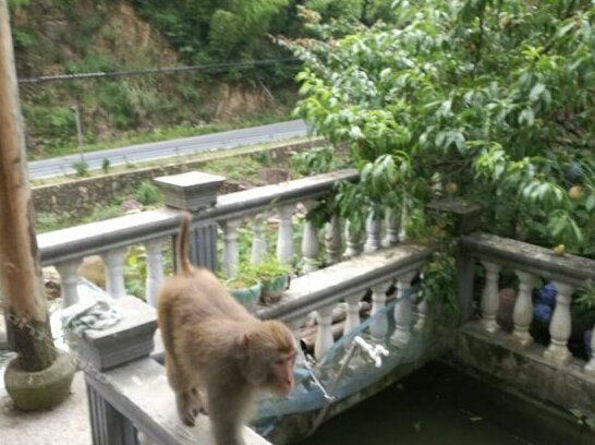 Huajian Zhuju Hostel - Photo3