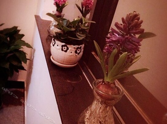 Longjia Inn - Photo2