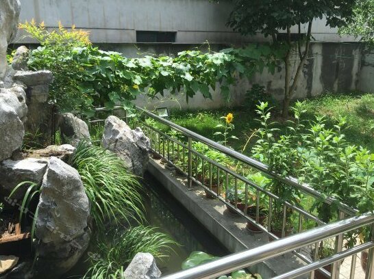 Mogan Mountain Yinongju - Photo2