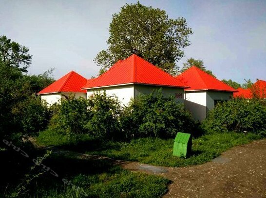 Grassland Holiday Hotel - Photo4