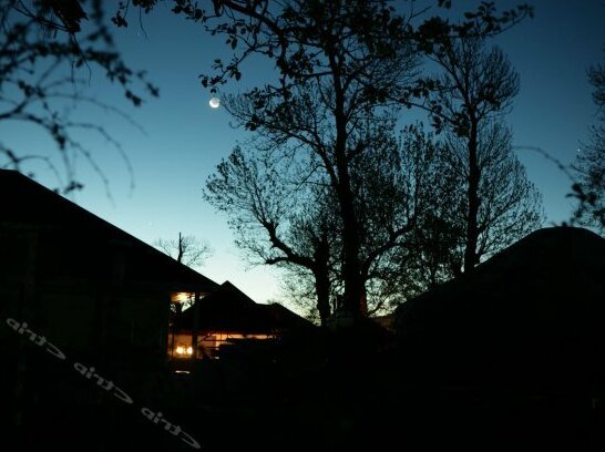 Grassland Holiday Hotel - Photo5