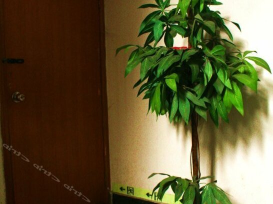 Xinguomei Hostel - Photo5