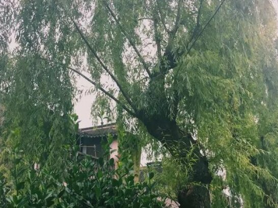 Yushui Chengfeng Guest House - Photo2