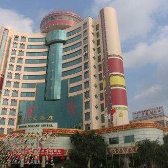 Stone Forest Hotel Kunming