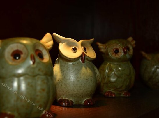 Ading Inn - Photo5