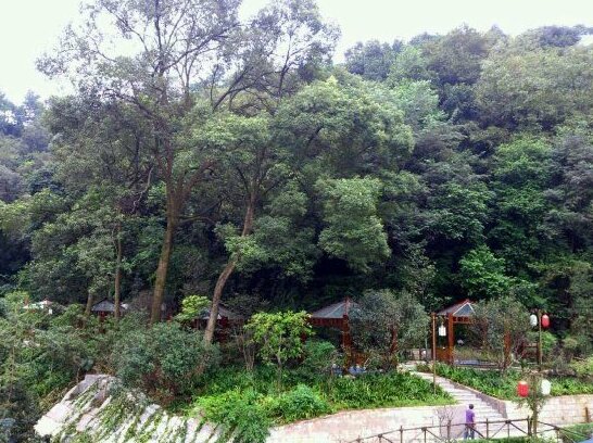 Guanling Forest Onsen Hotel - Photo5