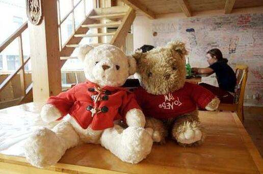 Mount Emei Teddy Bear Hostel - Photo2