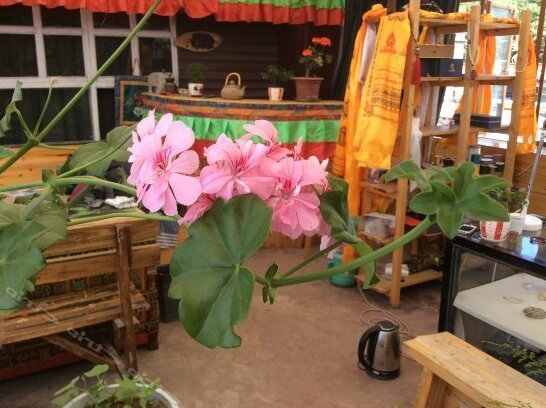 Chiming Xiyuan Inn - Photo4