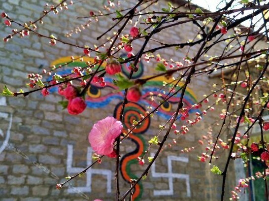 Lhasa Zangtaofang Hotel - Photo5