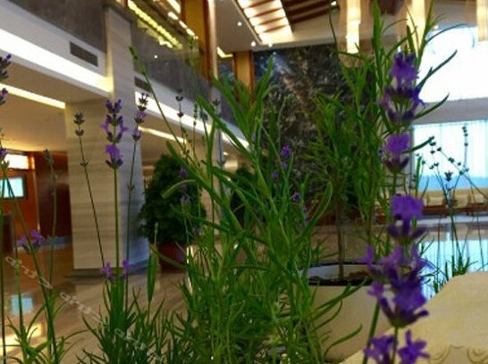 Donghai Forest Hot Spring Resort - Photo5