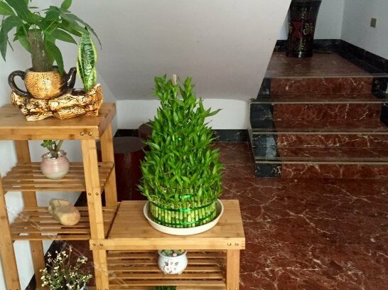 Bendi Renjia Theme Inn - Photo2