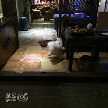 Good Time In The Dream Inn - Photo5