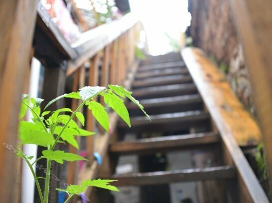 Hongri Holiday Inn Lijiang - Photo2