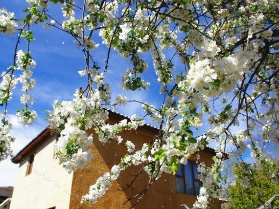 Lijiang Free Fragrant Inn - Photo5
