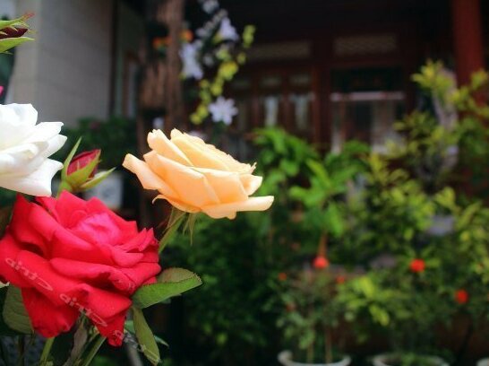 Lijiang Nest Inn - Photo5