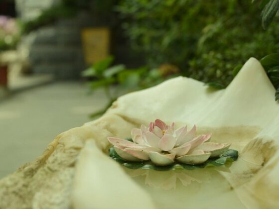 Lijiang Shuhe A Cup of Tea Hotel - Photo4