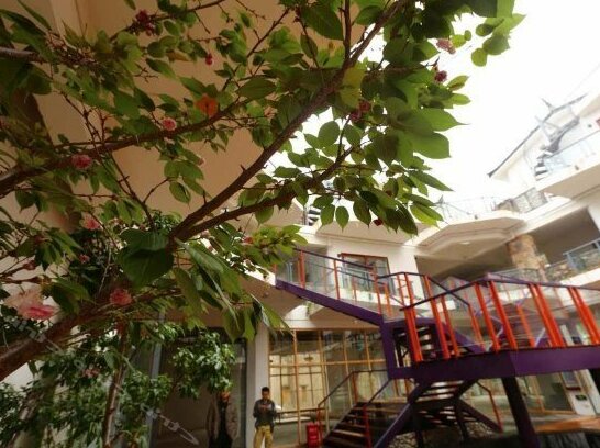 Meiyuan Meisu Art Hostel - Photo5