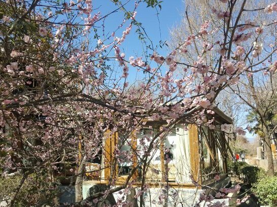 Mianhua Inn - Photo4
