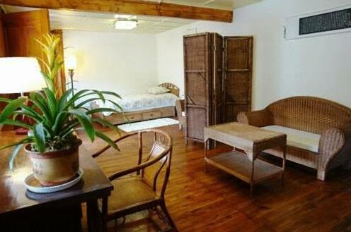 Petit Lijiang Inn - Photo3