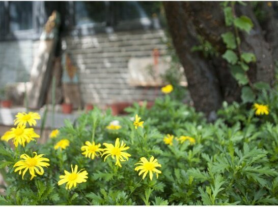 Puxintang Boutique Hotel - Photo3