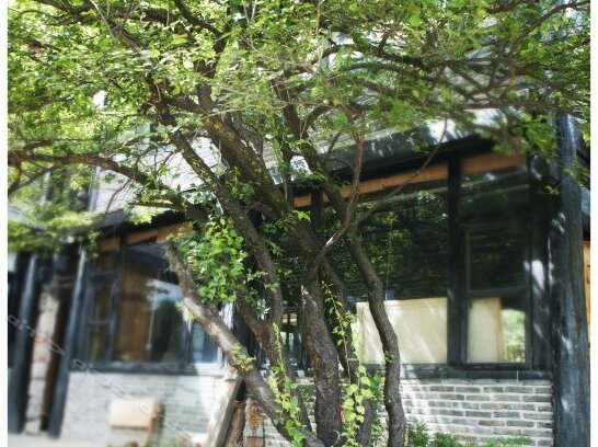 Puxintang Boutique Hotel - Photo4