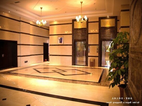 Golden Begonia Donggang Hotel Lincang - Photo3