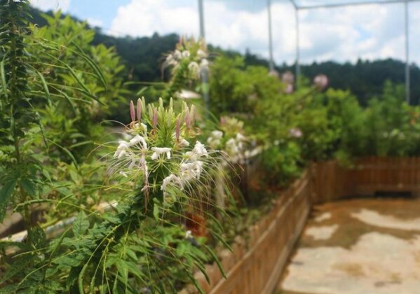 Chenkun Guesthouse - Photo3