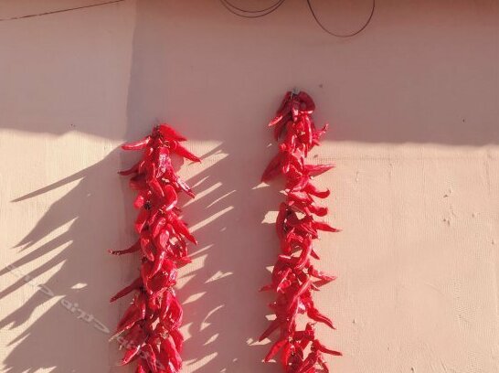 Cong's Guesthouse - Photo2
