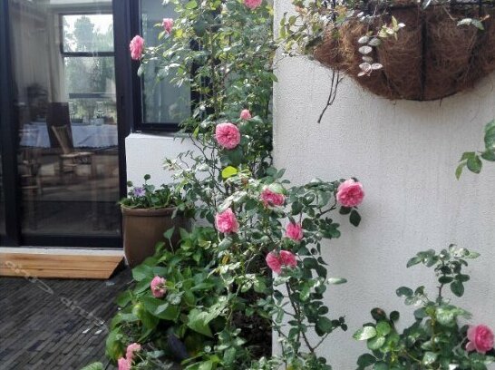 Youshan Inn - Photo3